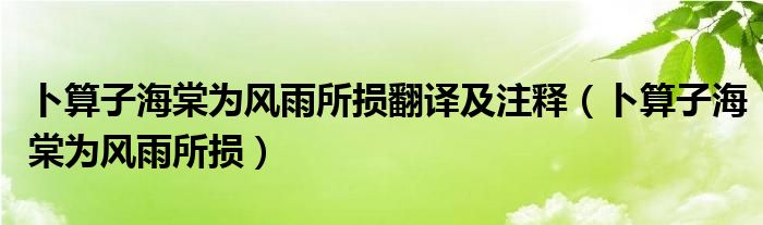 卜算子海棠为风雨所损翻译及注释（卜算子海棠为风雨所损）