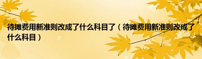 待摊费用新准则改成了什么科目了（待摊费用新准则改成了什么科目）