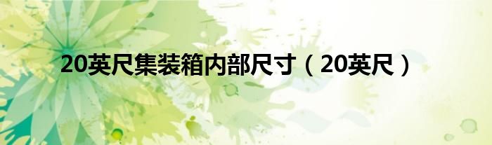 20英尺集装箱内部尺寸（20英尺）