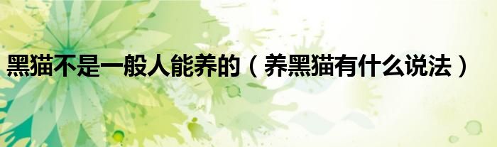 黑猫不是一般人能养的（养黑猫有什么说法）