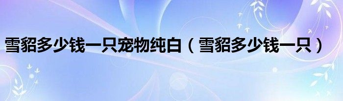 雪貂多少钱一只宠物纯白（雪貂多少钱一只）