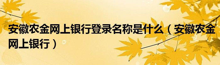 安徽农金网上银行登录名称是什么（安徽农金网上银行）
