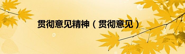 贯彻意见精神（贯彻意见）