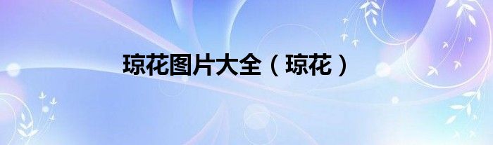 琼花图片大全（琼花）