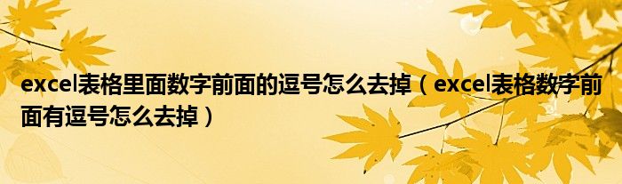 excel表格里面数字前面的逗号怎么去掉（excel表格数字前面有逗号怎么去掉）