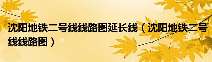 沈阳地铁二号线线路图延长线（沈阳地铁二号线线路图）