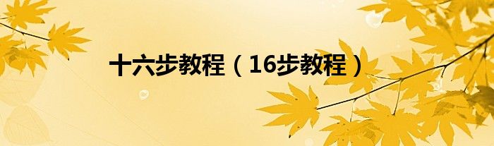 十六步教程（16步教程）