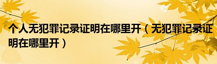 个人无犯罪记录证明在哪里开（无犯罪记录证明在哪里开）