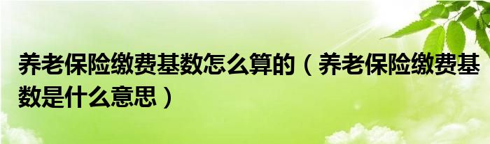 养老保险缴费基数怎么算的（养老保险缴费基数是什么意思）