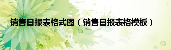 销售日报表格式图（销售日报表格模板）