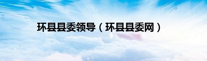 环县县委领导（环县县委网）