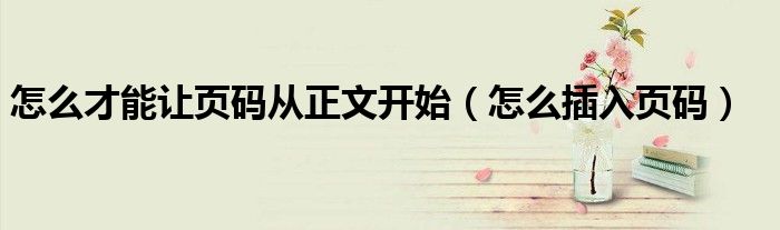 怎么才能让页码从正文开始（怎么插入页码）