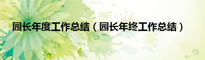 园长年度工作总结（园长年终工作总结）
