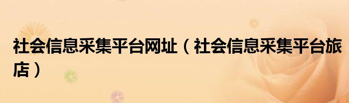 社会信息采集平台网址（社会信息采集平台旅店）