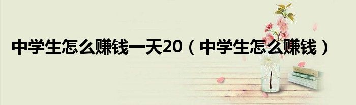中学生怎么赚钱一天20（中学生怎么赚钱）