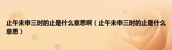止午未申三时的止是什么意思啊（止午未申三时的止是什么意思）