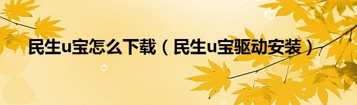 民生u宝怎么下载（民生u宝驱动安装）
