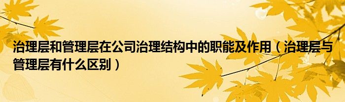 治理层和管理层在公司治理结构中的职能及作用（治理层与管理层有什么区别）