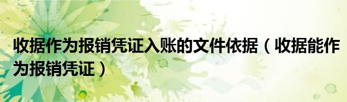 收据作为报销凭证入账的文件依据（收据能作为报销凭证）