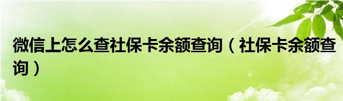 微信上怎么查社保卡余额查询（社保卡余额查询）