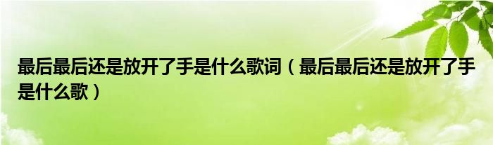 最后最后还是放开了手是什么歌词（最后最后还是放开了手是什么歌）