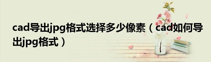 cad导出jpg格式选择多少像素（cad如何导出jpg格式）