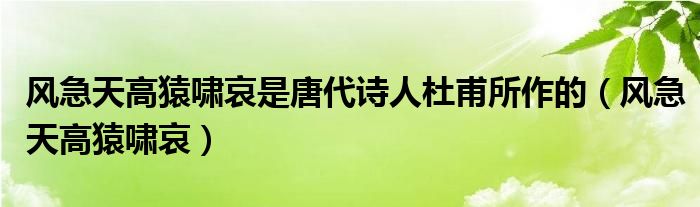 风急天高猿啸哀是唐代诗人杜甫所作的（风急天高猿啸哀）