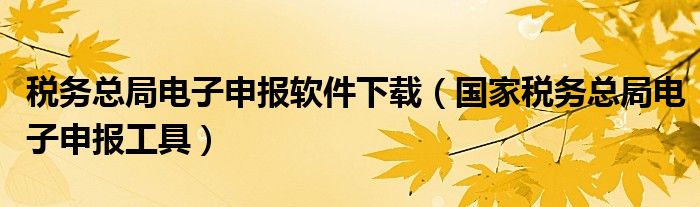 税务总局电子申报软件下载（国家税务总局电子申报工具）