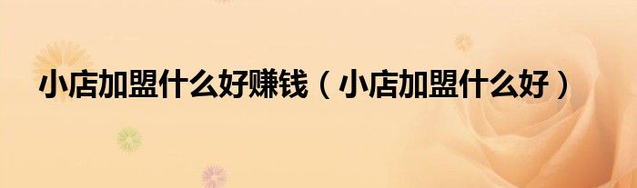 小店加盟什么好赚钱（小店加盟什么好）