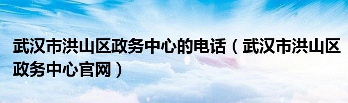武汉市洪山区政务中心的电话（武汉市洪山区政务中心官网）