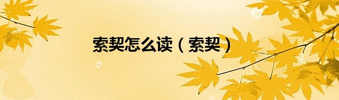 索契怎么读（索契）
