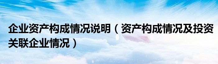 企业资产构成情况说明（资产构成情况及投资关联企业情况）