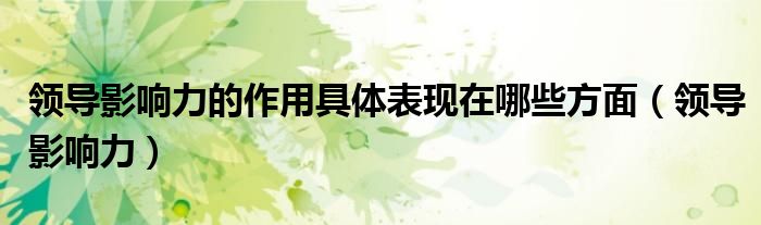 领导影响力的作用具体表现在哪些方面（领导影响力）