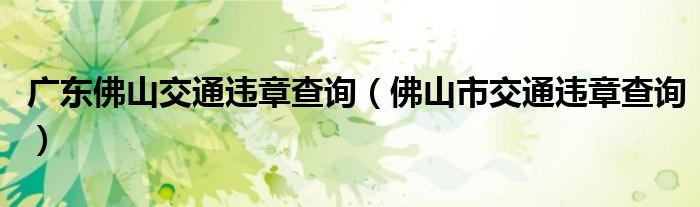 广东佛山交通违章查询（佛山市交通违章查询）