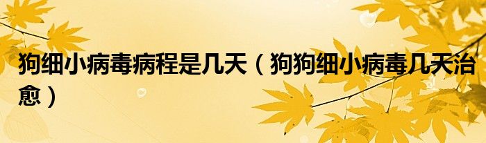 狗细小病毒病程是几天（狗狗细小病毒几天治愈）