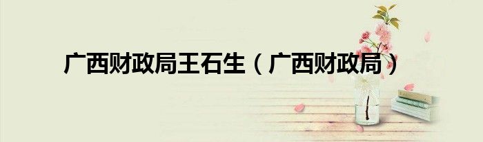 广西财政局王石生（广西财政局）
