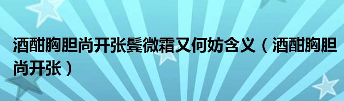 酒酣胸胆尚开张鬓微霜又何妨含义（酒酣胸胆尚开张）