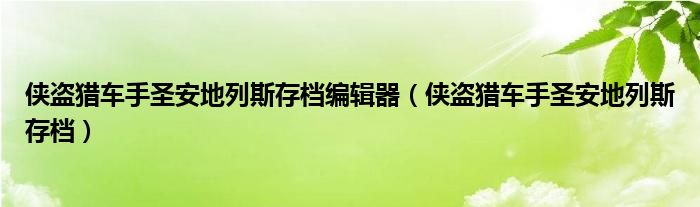 侠盗猎车手圣安地列斯存档编辑器（侠盗猎车手圣安地列斯存档）