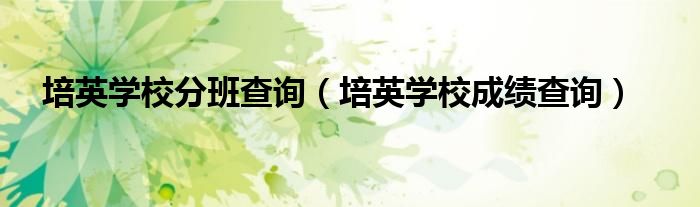 培英学校分班查询（培英学校成绩查询）
