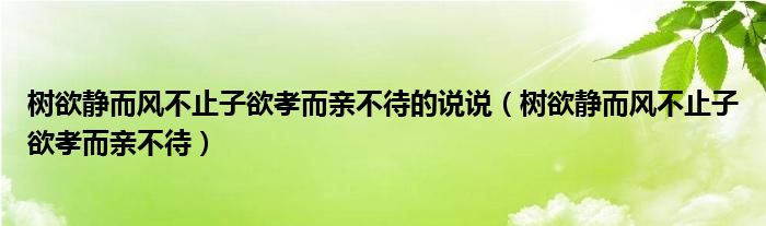 树欲静而风不止子欲孝而亲不待的说说（树欲静而风不止子欲孝而亲不待）