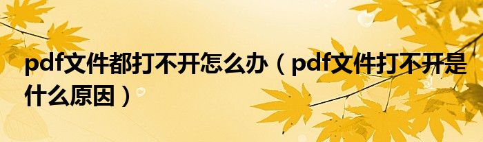 pdf文件都打不开怎么办（pdf文件打不开是什么原因）