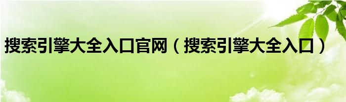 搜索引擎大全入口官网（搜索引擎大全入口）