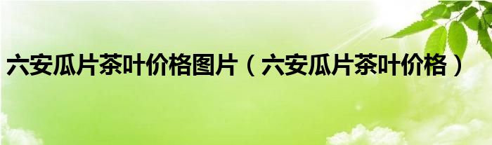 六安瓜片茶叶价格图片（六安瓜片茶叶价格）