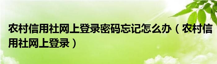 农村信用社网上登录密码忘记怎么办（农村信用社网上登录）