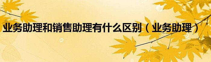 业务助理和销售助理有什么区别（业务助理）