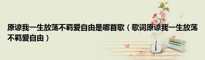 原谅我一生放荡不羁爱自由是哪首歌（歌词原谅我一生放荡不羁爱自由）