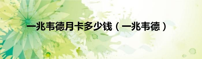 一兆韦德月卡多少钱（一兆韦德）