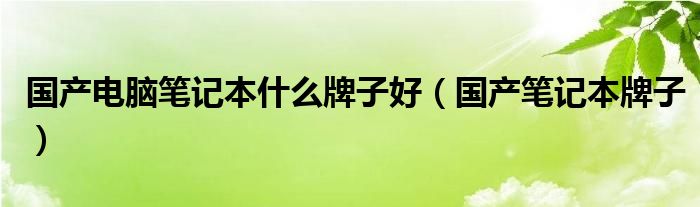 国产电脑笔记本什么牌子好（国产笔记本牌子）