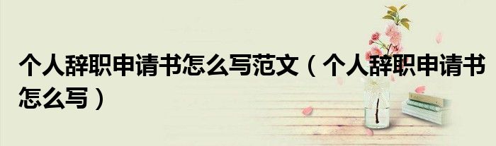 个人辞职申请书怎么写范文（个人辞职申请书怎么写）