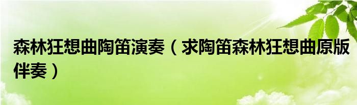 森林狂想曲陶笛演奏（求陶笛森林狂想曲原版伴奏）